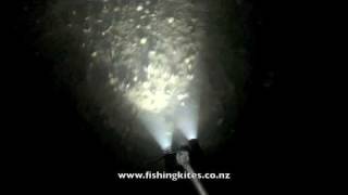 Spearing Flounder at Whangarei [upl. by Lrub]