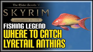 Lyretail Anthias Location Skyrim How to Catch Lyretail Anthias [upl. by Adalai]