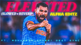 Mohammad Shammi X Elevated  Full HD beat Sync ❤‍🔥 Alfha Edit Special cricket youtube [upl. by Nolrah160]