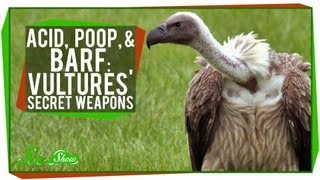 Acid Poop and Barf Vultures Secret Weapons [upl. by Lamhaj834]