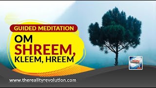 Guided Meditation OM Shreem Kleem Hreem [upl. by Einahpetse60]