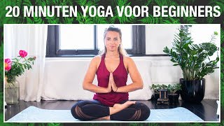 20 min Yoga voor Beginners  YOGA MET MILOU [upl. by Bartlett838]