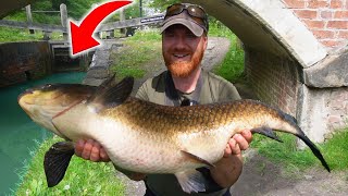 I Just Caught A Canal GIANT New PB [upl. by Ainnek]