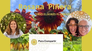 Elixires florales [upl. by Yniar]