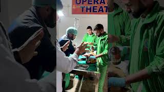 डॉग के आगे के दोनों पैर एक्सीडेंट में टूट गए।gsdanimalhospital [upl. by Greenes]