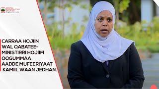 Carraa Hojiin wal qabatee Ministirri hojiifi oogummaa Aadde Mufeeriyaat Kaamiil waan jedhan [upl. by D'Arcy]