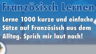 Lerne Französisch 1000 Sätze aus dem Alltag auf Französisch für Beginner [upl. by Gasser]