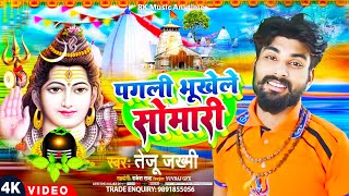 video l पगली भूखेले सोमारी l tejujakhmi l pagali bhukhele somari l new bolbam song 2024 [upl. by Ahsaten685]