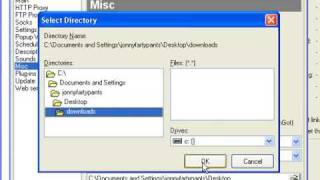 USDownloader the best rapidshare autodownloader tutorial [upl. by Cherian]