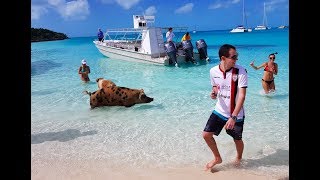 Exuma  Bahamas  February 2018  Swimming pigs sharks and more [upl. by Kylander437]