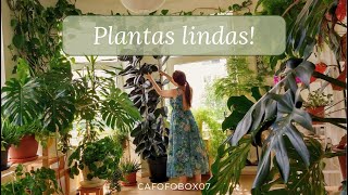 DICAS DE PLANTAS  CHEGADA DA PRIMAVERA  COMBATE À PRAGAS [upl. by Plossl367]