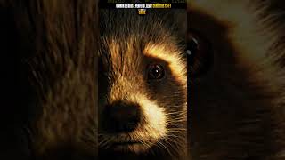 PORQUE O ROCKET GOSTA DE PROTESE  marvel guardiansofthegalaxy rocketraccoon [upl. by Nehgaem]