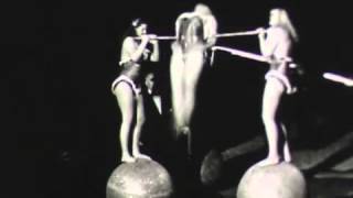 Cirque Knie 1953 Wunder der Circus Welt [upl. by Lymn]