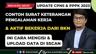 Cara Mengisi Riwayat Kerja DI SSCASN 2023 Ini Dia Contoh Surat Keterangannya Langsung Dari BKN [upl. by Adanama]