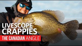 Ice Fishing for Jumbo Crappie  The Canadian Angle [upl. by Ja]