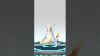 Shiny Feebas Evolve Into Shiny Milotic  Pokemon Go [upl. by Attennot]