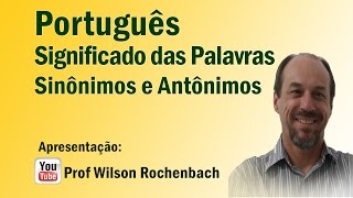 Significação das Palavras  Aula 01 Sinônimos e Antônimos [upl. by Dareen]