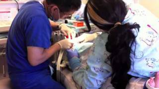 My First Dental Procedure 42811 [upl. by Kelci]