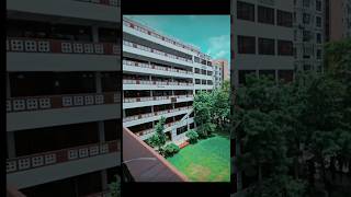 Our Campus । Ideal College Dhanmondi । Elite Vlogz Official । shorts [upl. by Aeslek412]