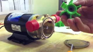 HOW TO Jabsco Ballast Puppy Pump Green Impeller Replacement [upl. by Nathanson]