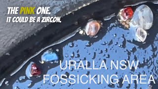 URALLA NSW Woolridge fossicking area Gold Sapphires and gems goldprospecting [upl. by Nawyt]