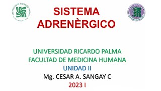 Sistema adrenérgico  Farmacología  Unidad II  sem 3 [upl. by Yknip502]