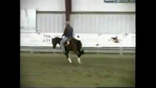 Flash Nu Cash  AQHA Reining Stallion  AT STUD [upl. by Erin]