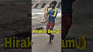 Hirakud Dam Re fishing video hirakuddam fishing shortvideos shorts short viralvideo viral [upl. by Idnyc313]