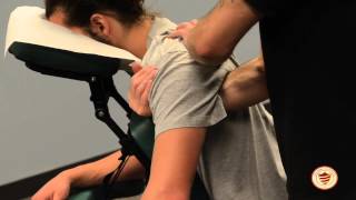 Chair Massage [upl. by Lynnelle]