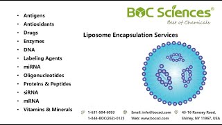 What is Liposome Encapsulation  Liposomal Technology  BOC Sciences [upl. by Lindeberg287]