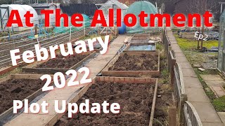 Allotment gardening ukFebruary update 2022pomegranate treeraised beds [upl. by Schlicher811]