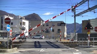 Spoorwegovergang Lugano CH  Railroad crossing  Passaggio a livello [upl. by Jsandye]