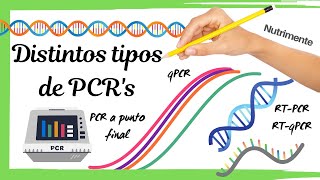 Distintos tipos de PCRs PCR  RTPCR  qPCR  RTqPCR [upl. by Stanfill]