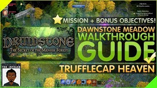 Druidstone Dawnstone Meadow Walkthrough Guide Trufflecap Heaven 100 [upl. by Spooner]