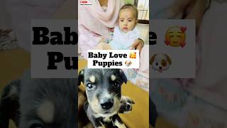 Surprise Puppy Playday 😍 minivlog [upl. by Moazami524]