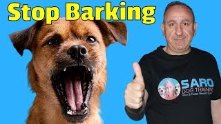 How to stop my dog from barking at other dogs and people [upl. by Ashli]