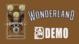 Caline  Wonderland Ambient Reverb Machine  Demo 5 Series [upl. by Hutchins]