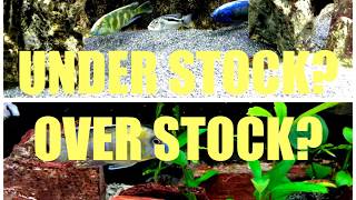 OVERSTOCK UNDERSTOCK [upl. by Noyart]