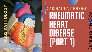 CARDIAC PATHOLOGY Rheumatic Heart Disease part1lecture11 MBBS pathology specialpathology cvs [upl. by Elag991]