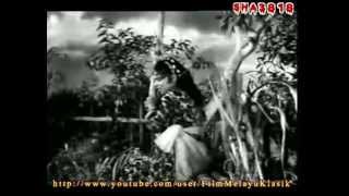 Lanchang Kuning 1962  Full Movie [upl. by Newg]