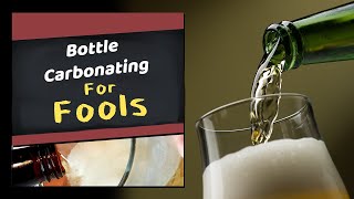 How to Bottle Carbonate Homebrew for Fools Beer Wine Cider amp Mead [upl. by Misa]