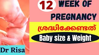 Pregnancy Week by Week Malayalam  12 Weeks Pregnant  12 Week pregnancy Symptoms [upl. by Ina686]