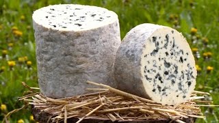 Terroir  un des plus vieux fromages français délicieux et persillés [upl. by Etep]