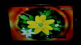 Favorit TV ident 2008 2018 [upl. by Zenda]