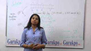 Initiation stage of Eukaryotic DNA Replication by Ms Deepika Rathore Biyani Girls College [upl. by Belding]