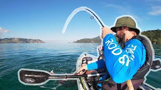 NZ Kayak Fishing  Softbaiting the Shallows [upl. by Kathlin]