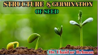 147 Structure of Seed  Germination of Seed Epigeal amp Hypogeal  Class 10th  Biology [upl. by Enajaras82]