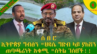 Alemneh wase ሰበር ኢትዮጵያ ግብፅን quotህዳሴ ግድብ ላይ ያለሽን ጠባጫሪነት አቁሚ quotስትል ገሰፀች [upl. by Martres]