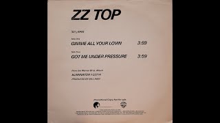 ZZ Top  Gimme All Your Lovin Vinyl Linn Sondek Koetsu Black GL Herron Audio [upl. by Ulrikaumeko]