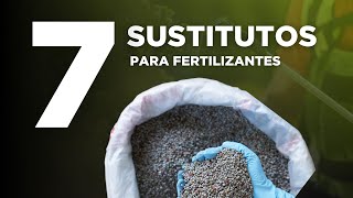 7 Sustitutos para fertilizantes de síntesis química [upl. by Aikemot]